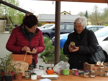 Zelemenjava prvič na Razkrižju 12